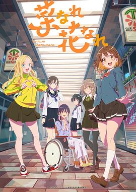 郑州seo优化词公司